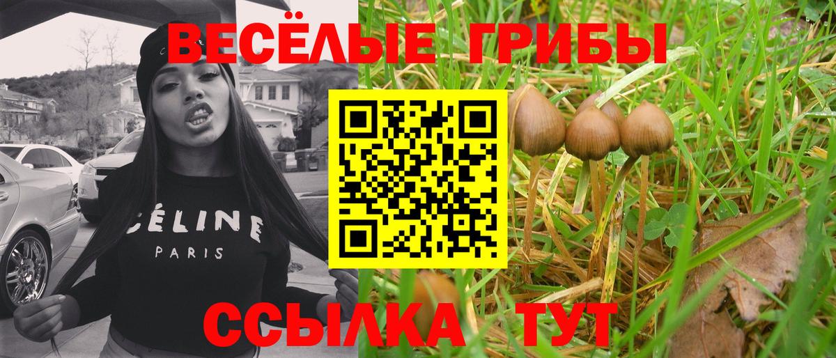 как найти закладки  Вход с VPN  Ивантеевка  Галлюциногенные грибы прущие грибы 